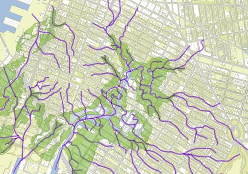 Draft map of Gowanus watershed ghost stream mapping by Eymund Diegel.